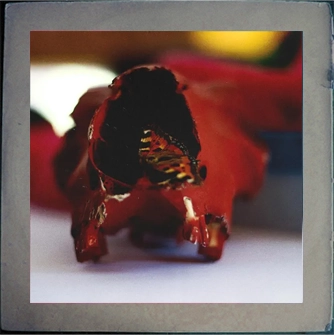 He's Only Sleeping Album Artwork Frame