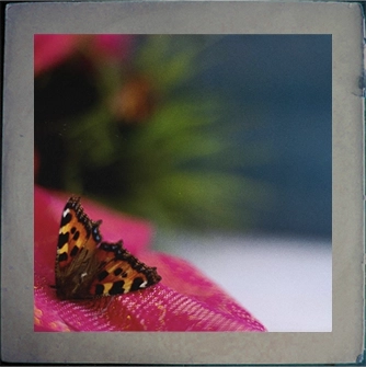 He's Only Sleeping Album Artwork Frame