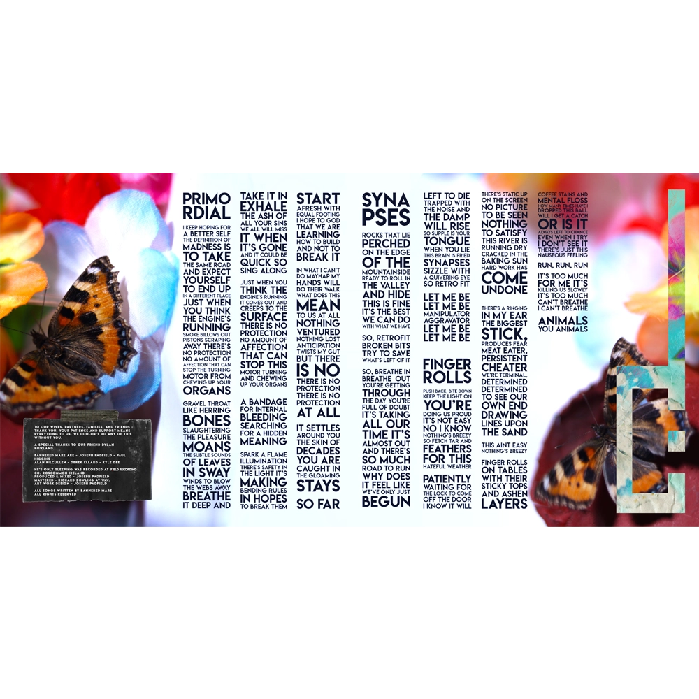 He's Only Sleeping Vinyl extra image 3